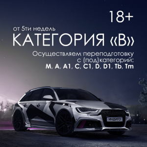 Фотография Индиго 3